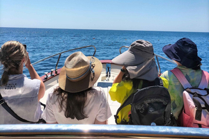 Castro: Excursão de Barco de 3 Horas com Grutas, Mergulho e Drinque