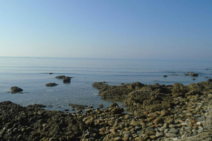 Durrës og Golem: Smuk ankomsttur + stop ved amfiteateret