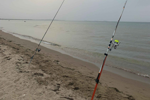 Durazzo o Shengjin: tour di pesca in mare di 1 giorno con guida