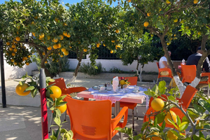 Fier: Farm-to-table Cooking Class With Wine & Raki Tasting