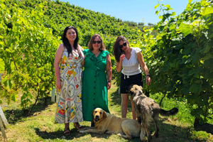 From Durrës: Albanian Wine Tasting with Vineyard & Boat Tour