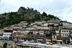 From Durres/Golem/Qerret : Berat & Belshi Lake Full-Day Trip
