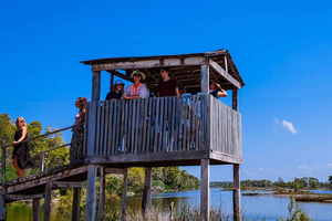 From Durrës: Karavasta Lagoon Birdwatching & Watch Tower
