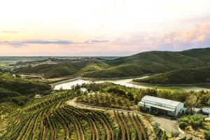 Fra Durres: Vinsmaking på Duka Winery