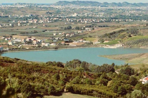 From Tirana or Durrës: Vineyard Tour and Wine Tasting