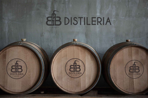 Golem/Tour della distilleria/Degustazione di raki/Meze albanesi/con prelievo