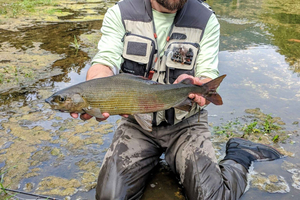 Permet: Vjosa River Fishing Tour with local fisherman