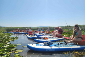 Shkodra Lake: Self-Guided Paddle Board or Kayak Tour