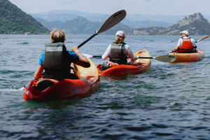 Skadar meer: Rondleidingen van 4 uur per kajak