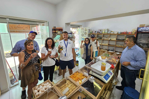 Tirana: Esperienza gastronomica locale e tour a piedi