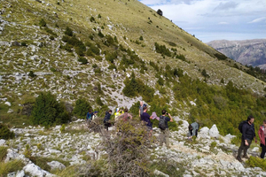 Vlore : Llogara National Park Infocenter to Deep Neck