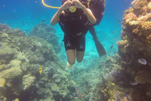 Vlore/Porto Palermo/Sarande: mergulho