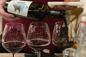 Wine Tasting Experience at Alpeta Winery