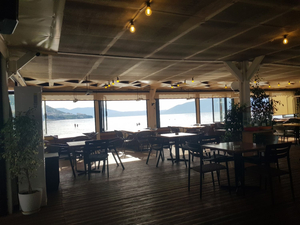 ammos lounge vlore