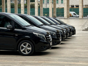 Aria Travel Albania