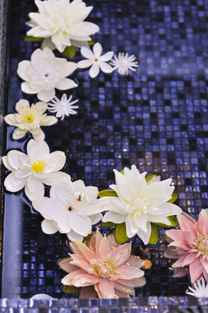 Dahlia Wellness & Beauty