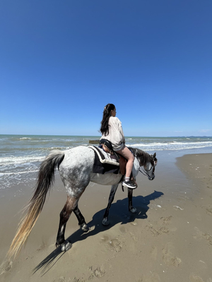 Durrës Riding Albania