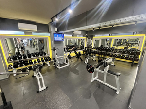 Fitness Bodystyle