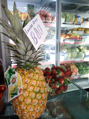 Fruit shop Arjani
