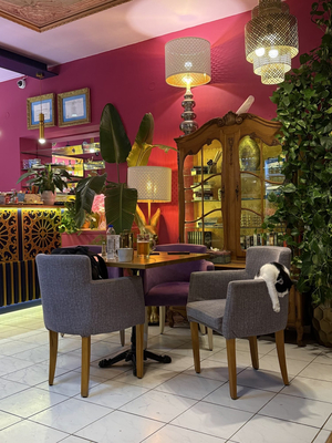LuLu Cafe Rest & Bar