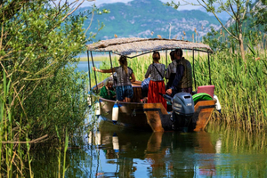 Guidet tur til Skadar-søen, Vranjina-klosteret og vinsmagning