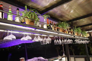 Rapo’s Resort Beach Bar