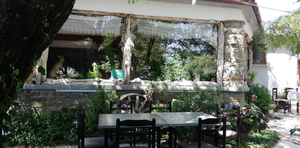 Restorant Roshniku