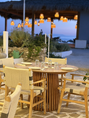 The Jester`s Taverna