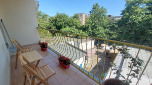 Traveler Hostel