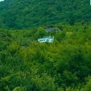 Villa Goliku