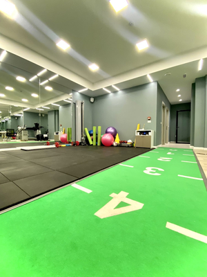 Wellness Albania Clinic