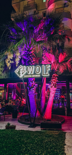 Wolf Shisha Lounge