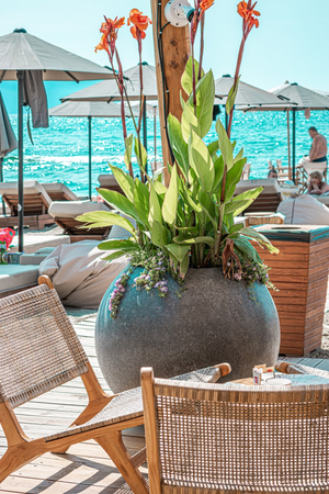 Yacht Beach Bar & Pizzeria