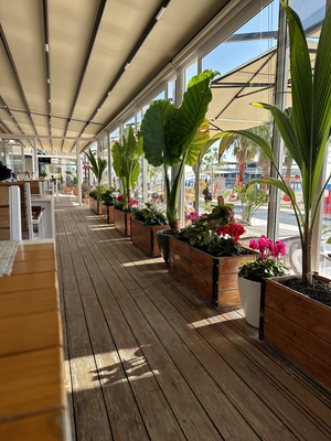 Zanzi Club L.13 Rr. Agaveve, Durrës (Plazh)