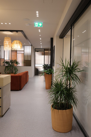 Zen House Medical Therapy