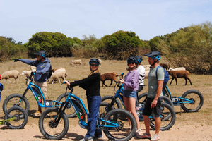 Excursão Guiada de Troti-Bike Elétrica Off-Road em Albufeira, Algarve