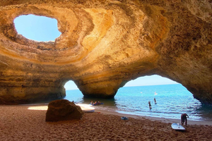 Albufeira: Benagil Caves & Dolphin Watching Speed Boat Tour