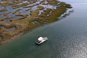 Faro: Ria Formosa Boat Tour by Eco-Friendly Solar Boat