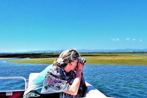 Faro: Ria Formosa Boat Tour