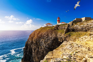 From Albufeira: Lagos & Cabo de São Vicente Highlights Tour