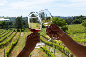 From Albufeira: Wine Tasting & Historic Silves Tour