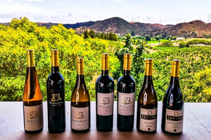 From Lagos: Small-Group 4-Hour Wine Tasting Tour