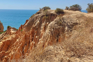 From Tavira: Hiking Benagil Cliffs & 4 Treasure Experience