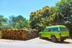 Half-Day Mountain Jeep Safari with firewater tasting