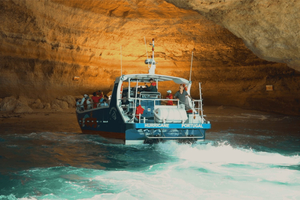 Lagos: Combo Dolphin and Benagil Tour with Marine Biologist