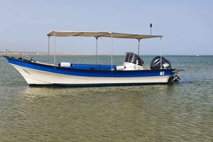 Olhão: 5 tunnin ajomatka 3 pysähdystä rannoilla ja saarilla Ria Formosa Ria Formosa