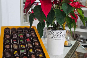 Tavira City & Chocolate