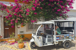 Tavira Total Tuk Tuk Tour: Tavira Tour & Tuna Village Visit
