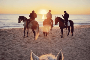 Vilamoura: Sunrise or Sunset Beach Horseback Riding Tour