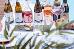 WINE TASTING & TAPAS IN THE HEART OF FARO